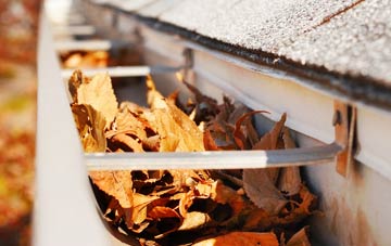 Thruxton gutter cleaning companies