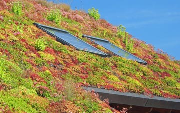Thruxton living roof systems