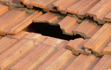 roof repair Thruxton